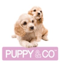 Hemmo & Co. Ltd